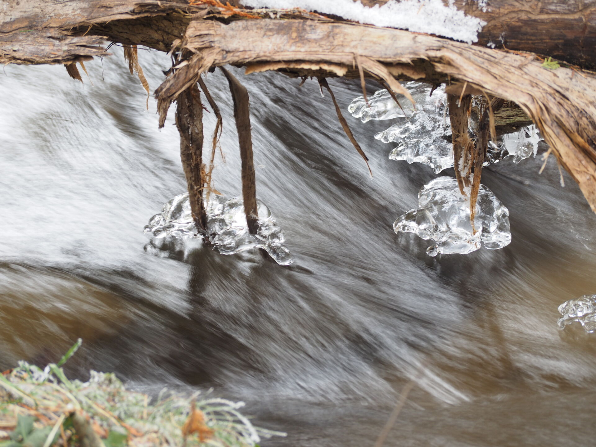 Twig in frozen stream