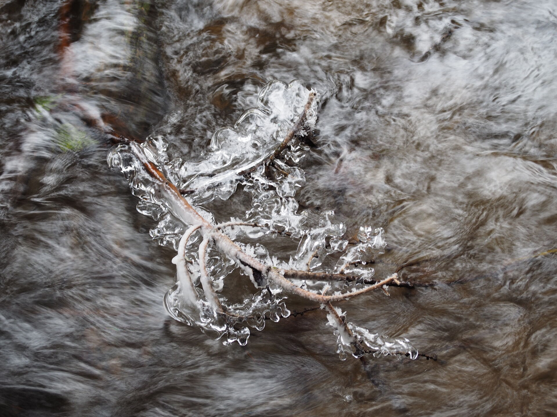 Frozen branch in stream